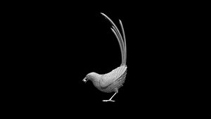 Magpie model