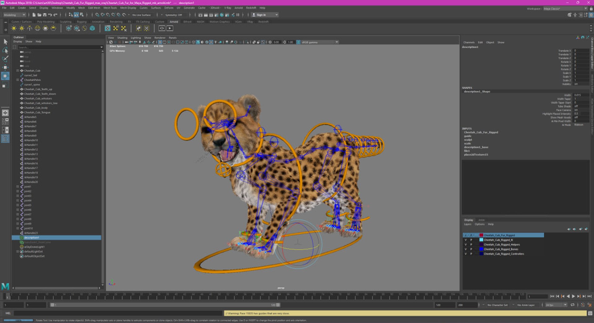 3D Cheetah Cub Fur For Maya Rigged Model - TurboSquid 2407479