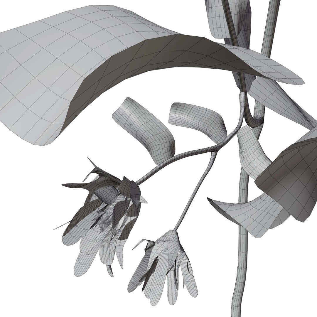 3D Marguerite daisy flower model https://p.turbosquid.com/ts-thumb/2u/fD4o8e/CR/margueritedaisy08/jpg/1760519028/1920x1080/fit_q87/6f1b74495c8099b0fbfe631a6af894cdaa6b9b89/margueritedaisy08.jpg