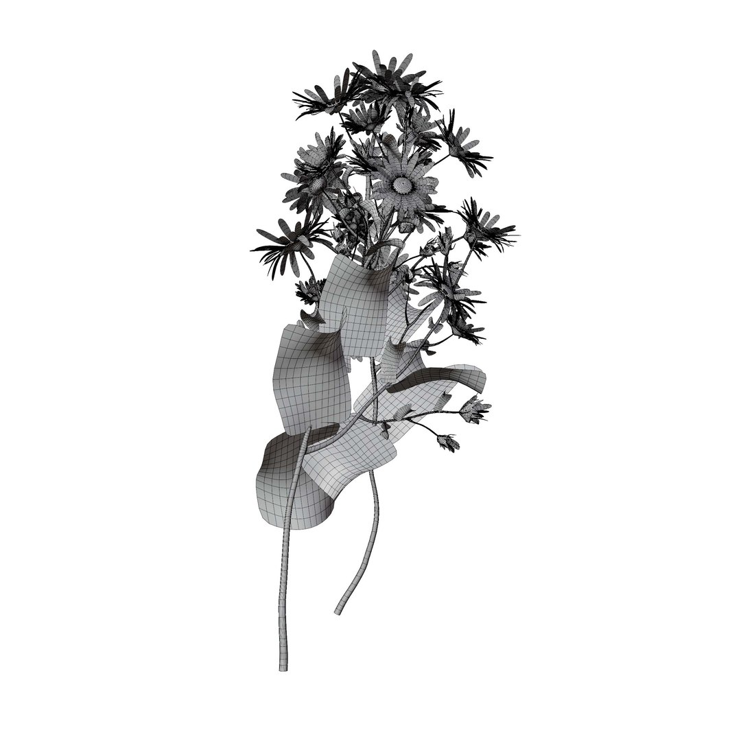 3D Marguerite daisy flower model https://p.turbosquid.com/ts-thumb/2u/fD4o8e/EO/margueritedaisy02/jpg/1760519024/1920x1080/fit_q87/6e122f7fa5153dda490ba8af5f3464ae8f7dda92/margueritedaisy02.jpg