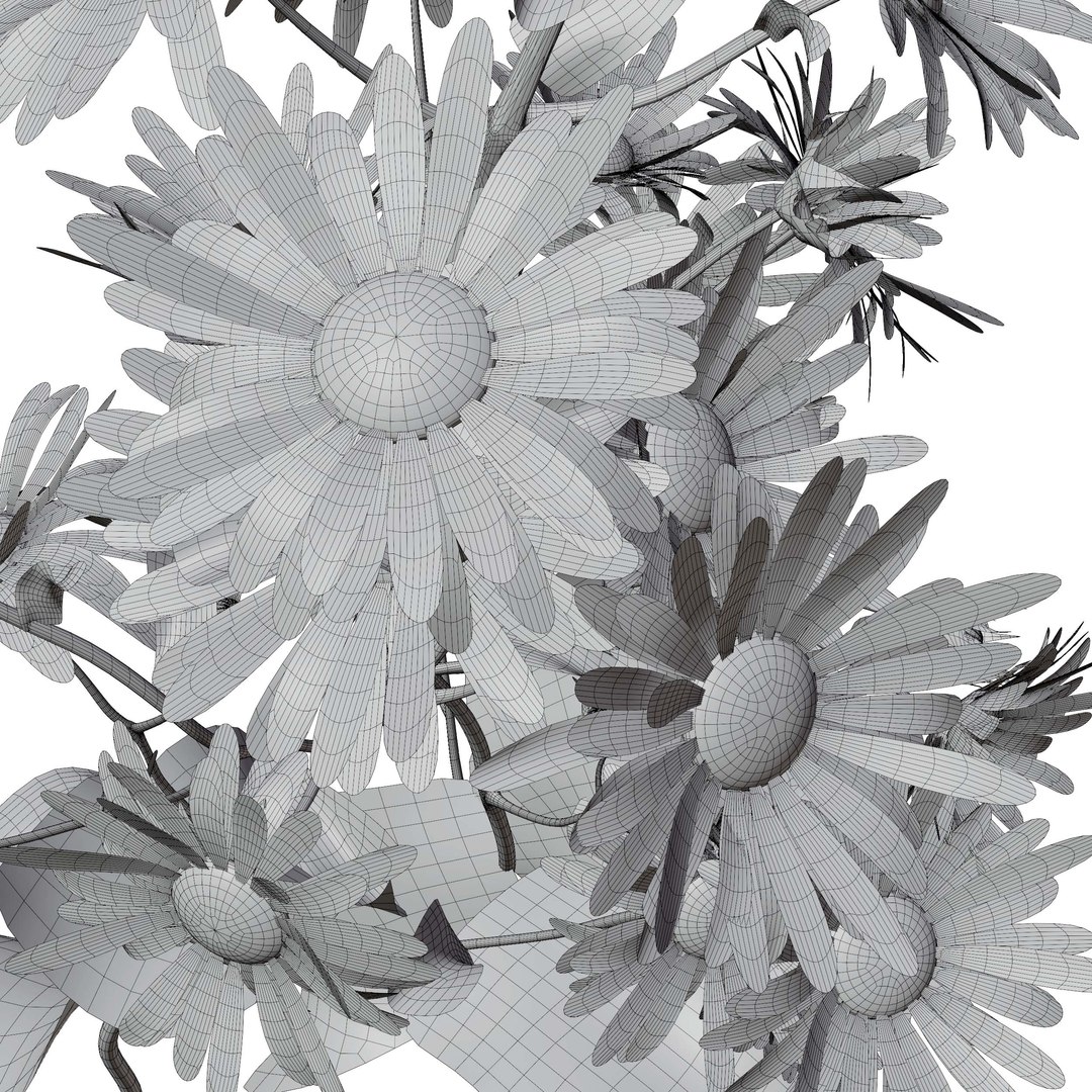 3D Marguerite daisy flower model https://p.turbosquid.com/ts-thumb/2u/fD4o8e/Ko/margueritedaisy06/jpg/1760519028/1920x1080/fit_q87/9ca4fa81c25192f447f11c4c665f1ffc7bd7c857/margueritedaisy06.jpg
