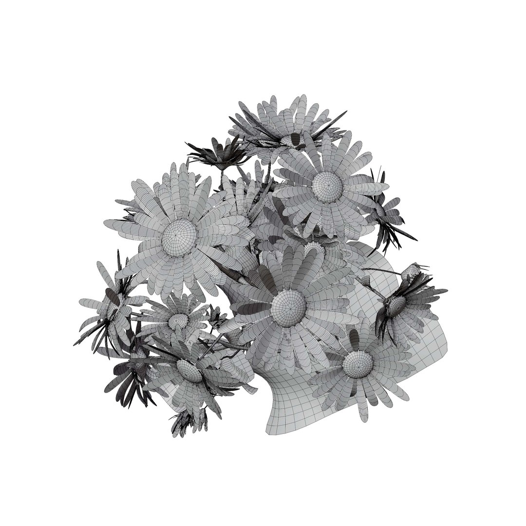 3D Marguerite daisy flower model https://p.turbosquid.com/ts-thumb/2u/fD4o8e/T8/margueritedaisy04/jpg/1760519026/1920x1080/fit_q87/0fc528a5678e13ff4b655c881e0c5aa45f5cb4bf/margueritedaisy04.jpg