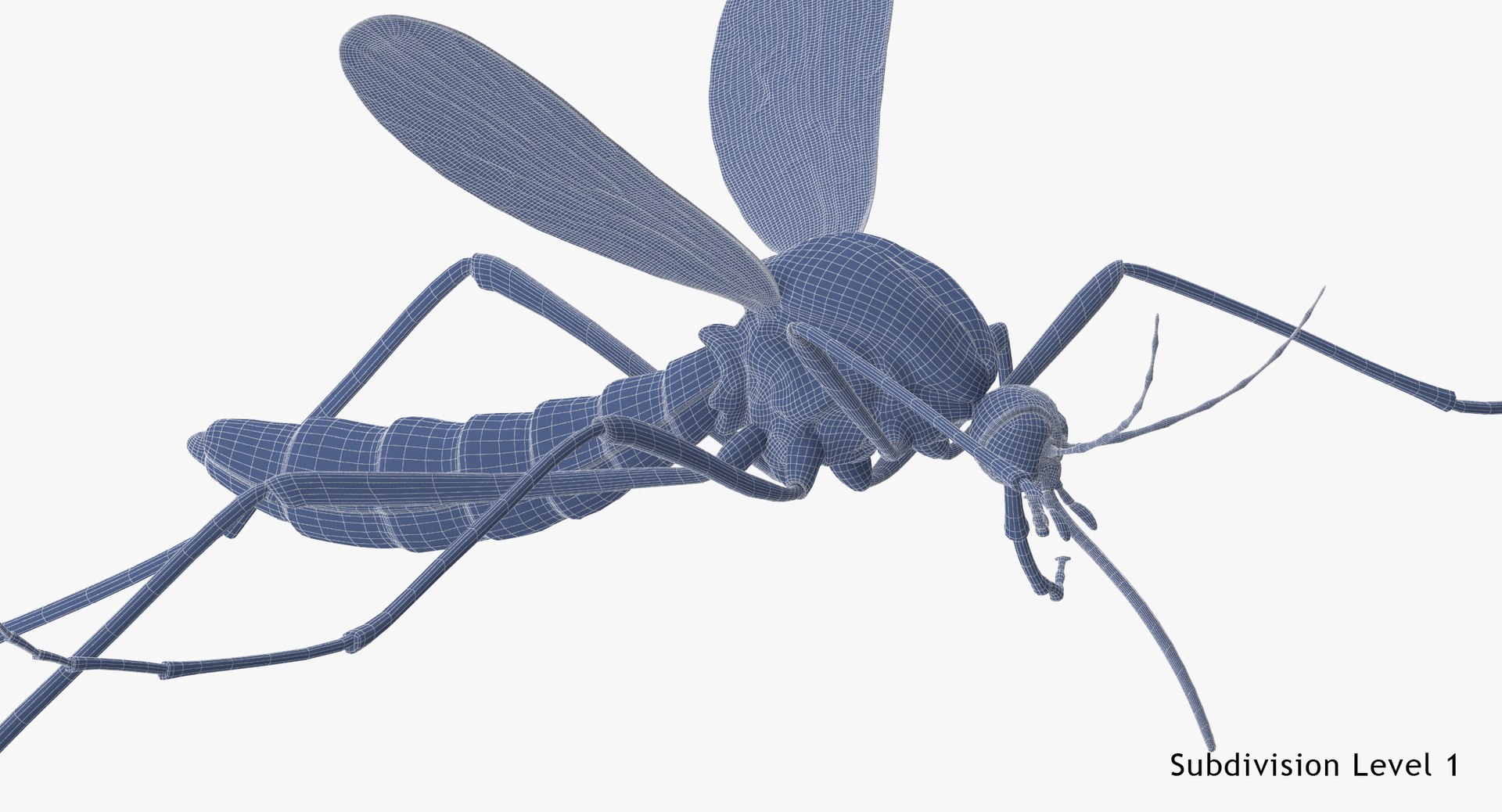 Flying Mosquito 3d Model