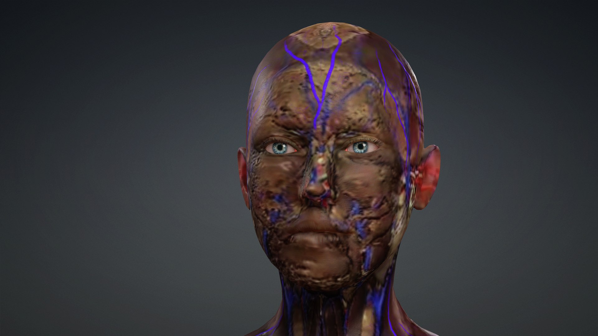 3D Skinless https://p.turbosquid.com/ts-thumb/2u/iB1PVl/4Z/render3/jpg/1714510426/1920x1080/fit_q87/f16a8433244d8be5064e3253a006b9e0a6d34250/render3.jpg