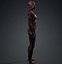 Skinless