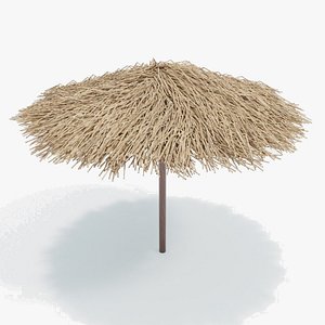 3D BambooUmbrella