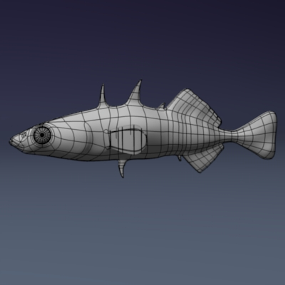 3d threespine stickleback