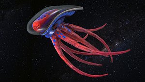 3D model realistic space octopus