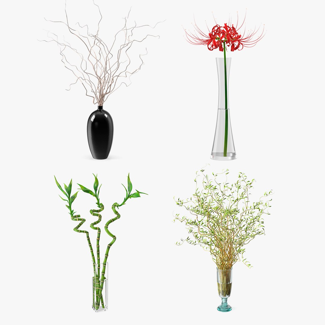 Flowers in Vases Collection 6 3D model preview