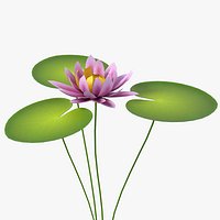 Cartoon Waterlily