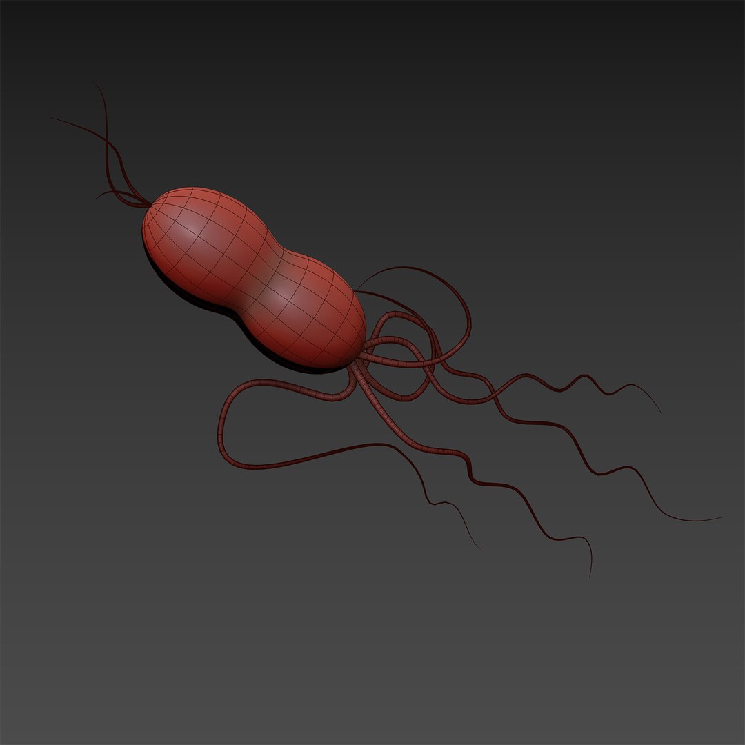 Microbes Bacteria Cells 3D Model - TurboSquid 1626168