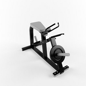 maya gym equipment