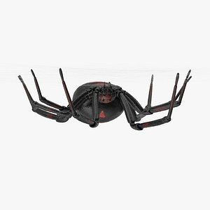 Black Widow - Hanging