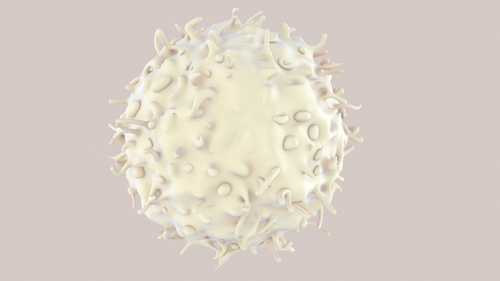 Lymphocyte 3D Model - TurboSquid 1803524