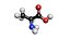Alanine 3D Model C3H7NO2