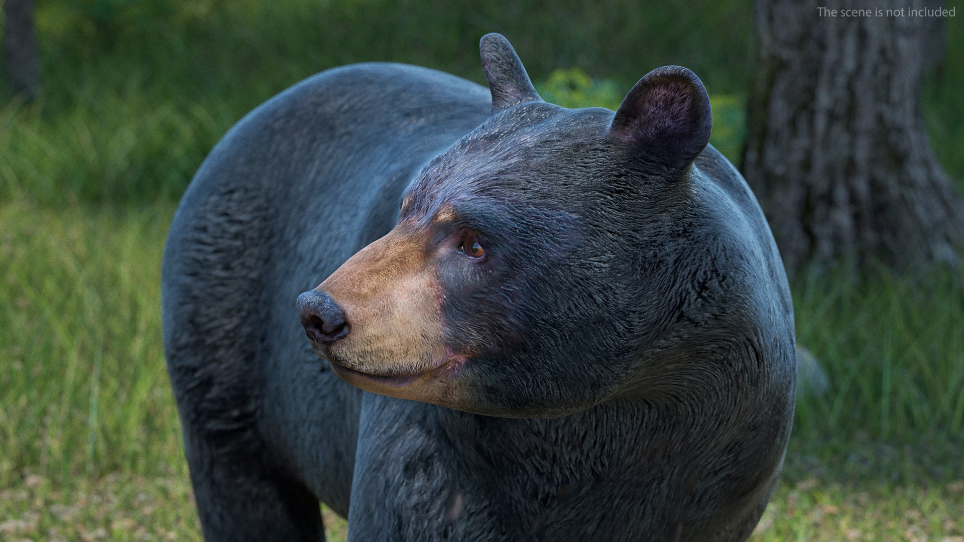 Black Bear In Walking Pose 3D Model - TurboSquid 2255010