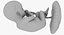 3D fetus 37 development