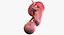 3D fetus 37 development