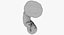 3D fetus 37 development