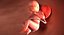3D fetus 37 development