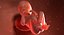 3D fetus 37 development