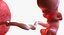 3D fetus 37 development