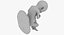 3D fetus 37 development