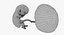 3D fetus 37 development