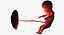 3D fetus 37 development