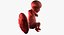 3D fetus 37 development