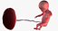 3D fetus 37 development
