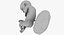 3D fetus 37 development