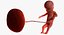 3D fetus 37 development