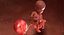 3D fetus 37 development