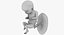 3D fetus 37 development