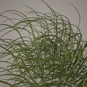 HQ-Vegetation - Long Grass and Weeds