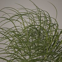 HQ-Vegetation - Long Grass and Weeds