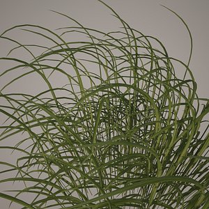 HQ-Vegetation - Long Grass and Weeds