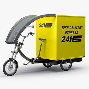 Cargo Delivery Bike