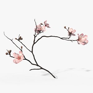 Sakura Branch 3D model