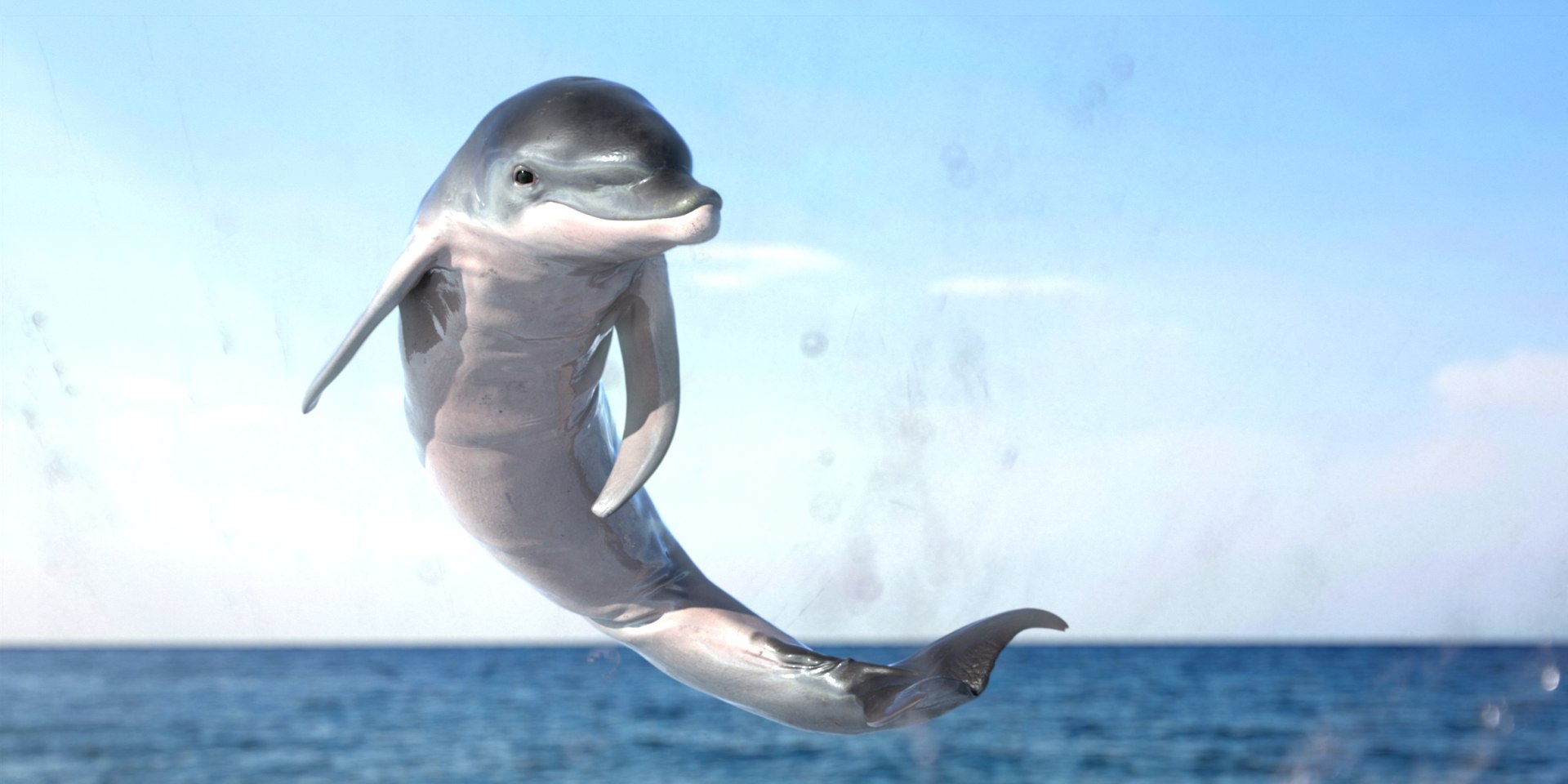Dolphin Rigged Model - TurboSquid 1773195