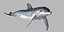 Dolphin Rigged model