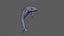 Dolphin Rigged model