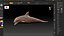 Dolphin Rigged model
