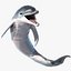 Dolphin Rigged model