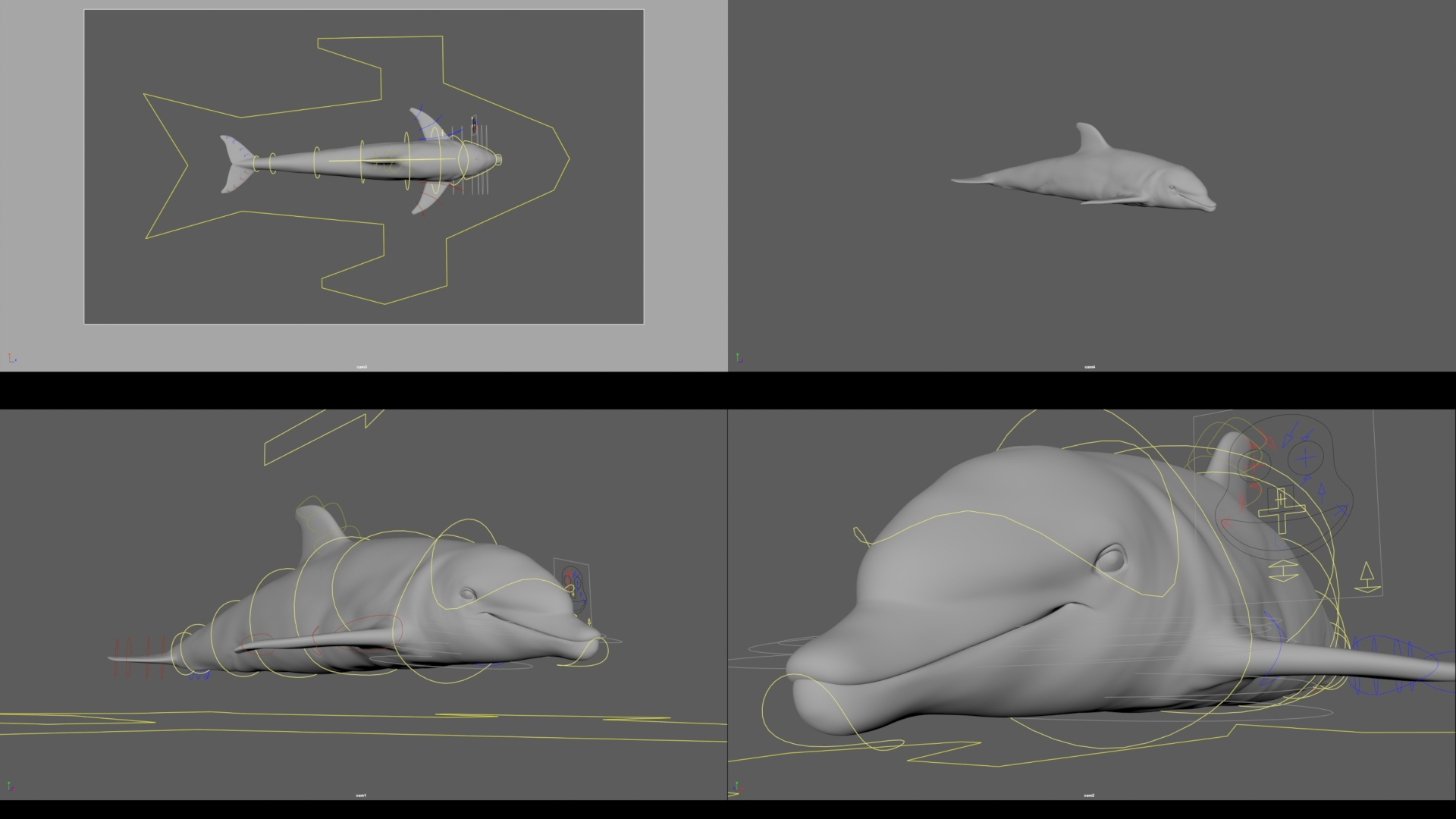 Dolphin Rigged Model - TurboSquid 1773195