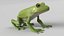 Animated Frog Collection