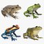 Animated Frog Collection
