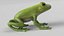 Animated Frog Collection