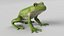Animated Frog Collection